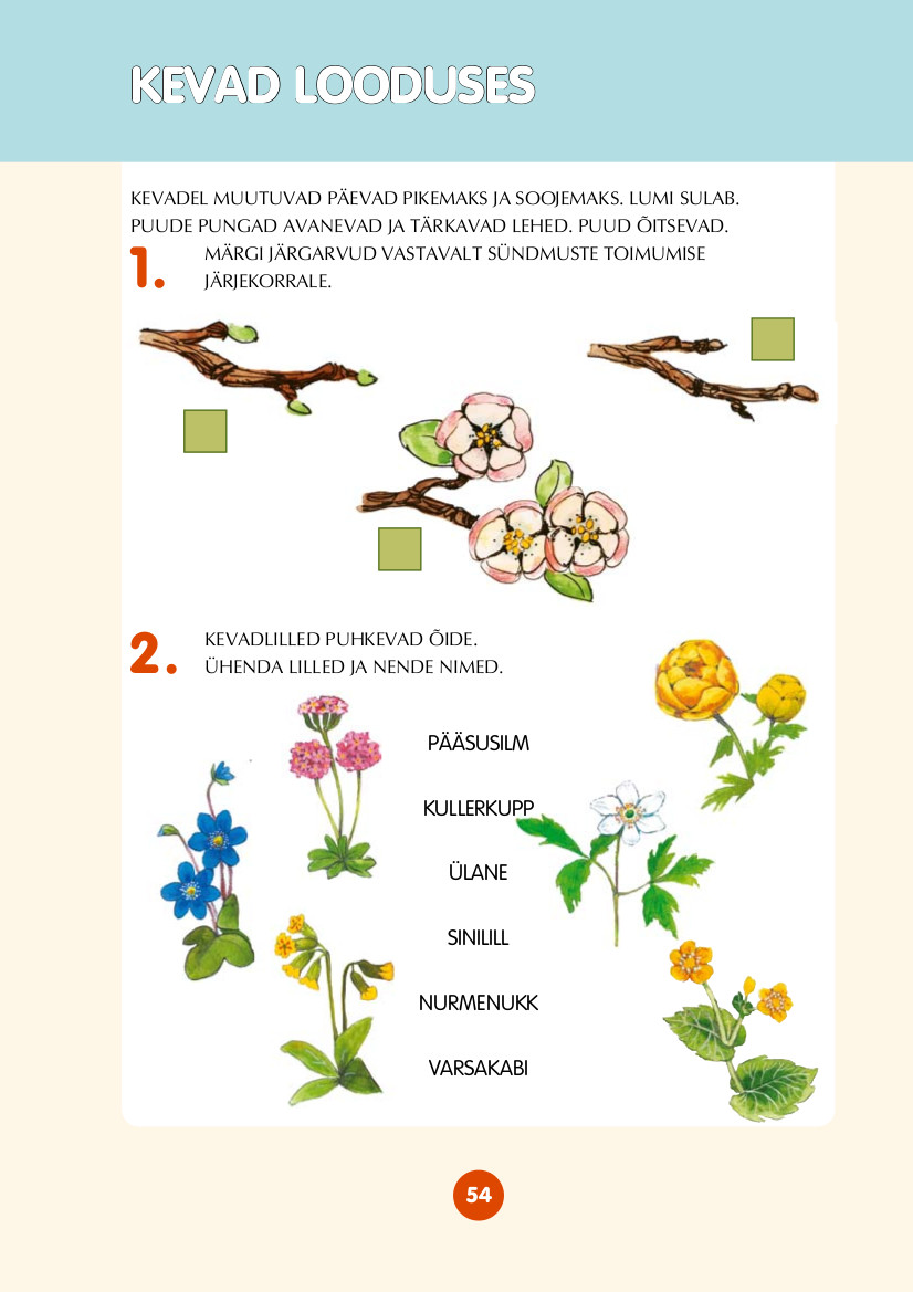 sobraks_kodulooga_lk54